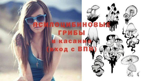 мет Зеленодольск