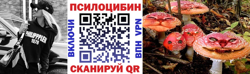 Галлюциногенные грибы Cubensis  Купить закладки  Бокситогорск 